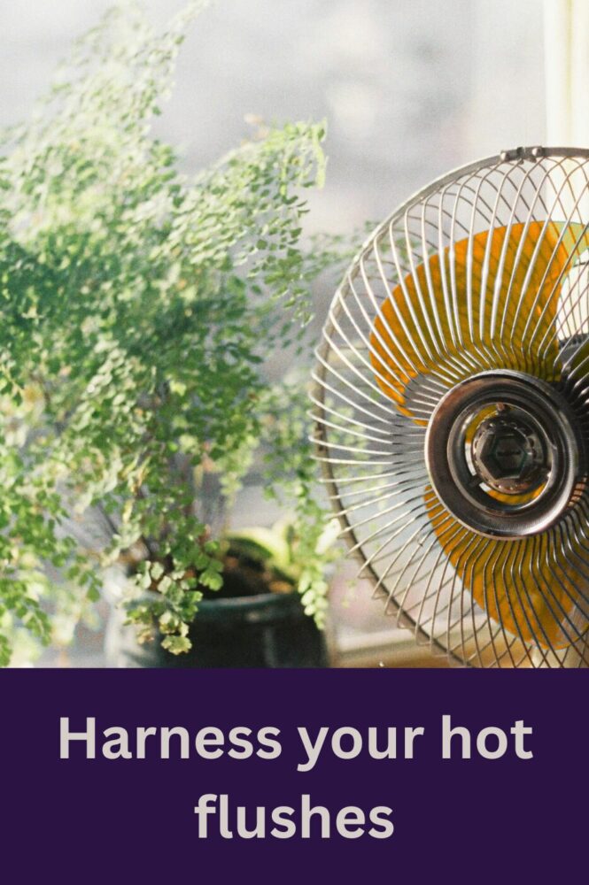 Harness your hot flushes